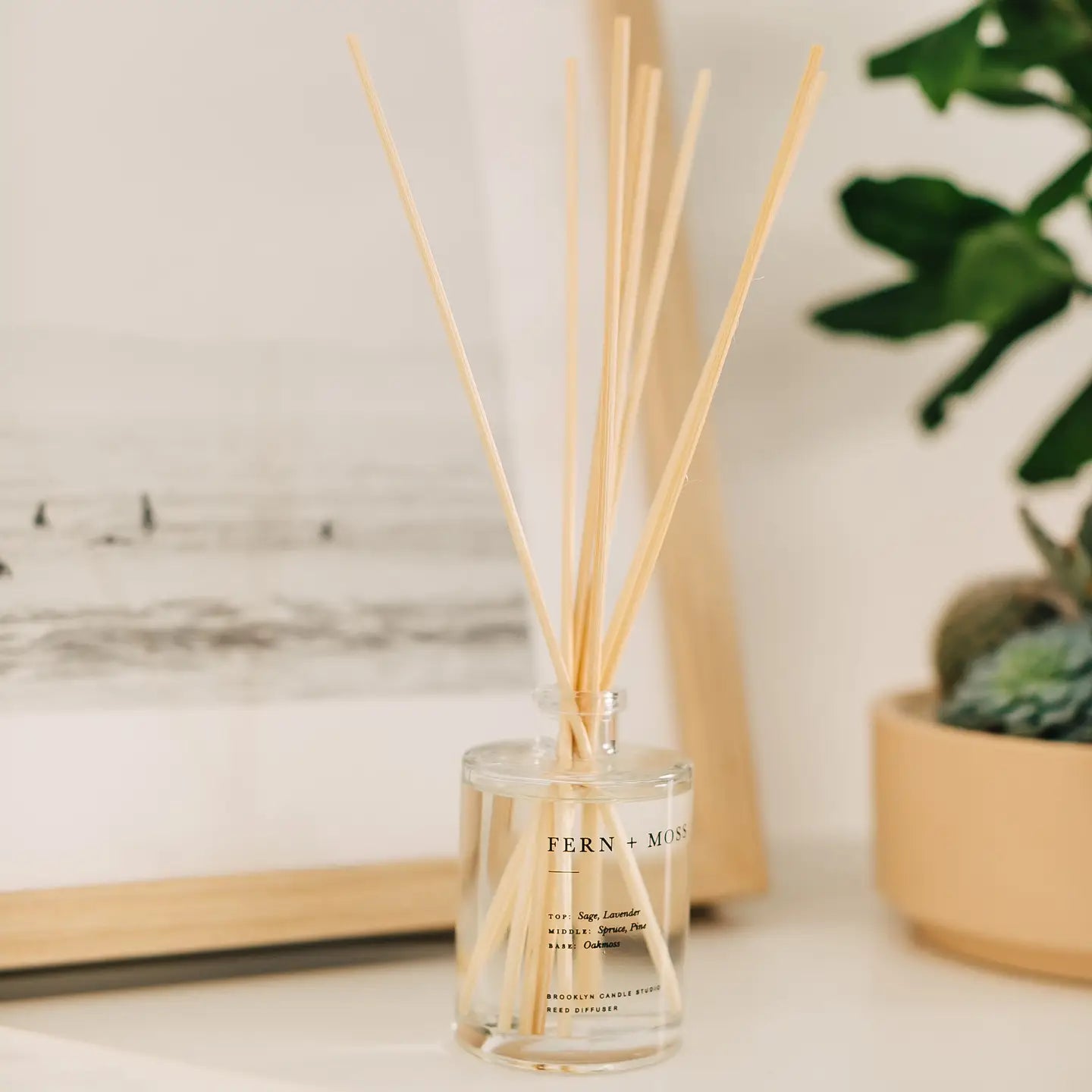 brooklyn candle studio / reed diffuser - fern + moss