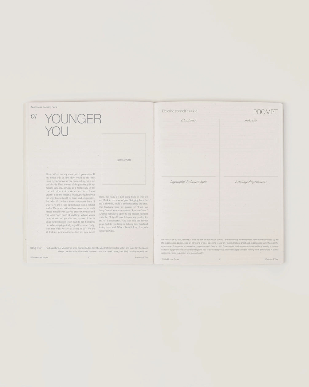 wilde house paper / pieces of you journal