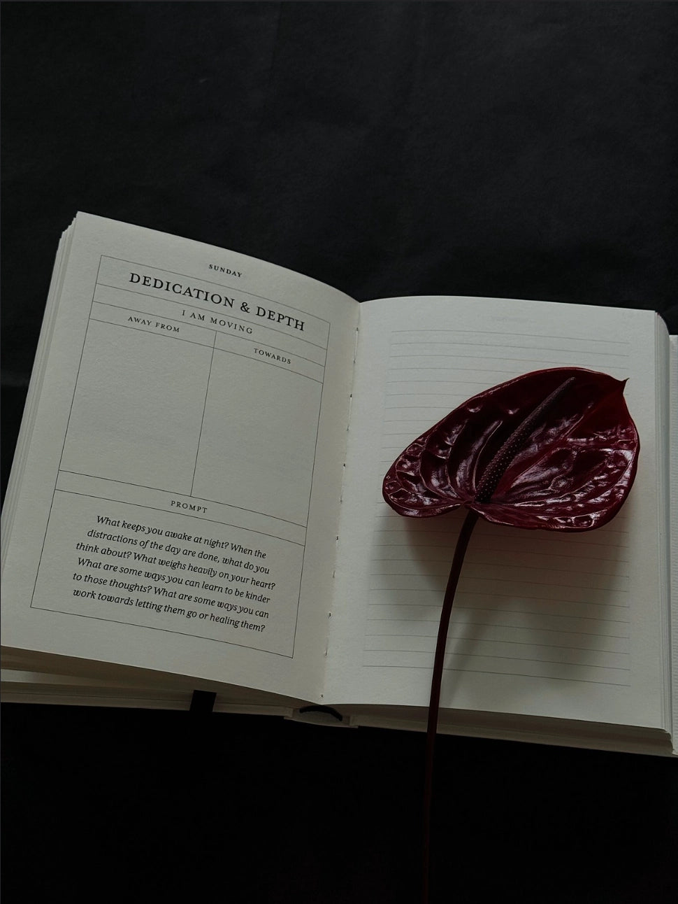 the becoming journal