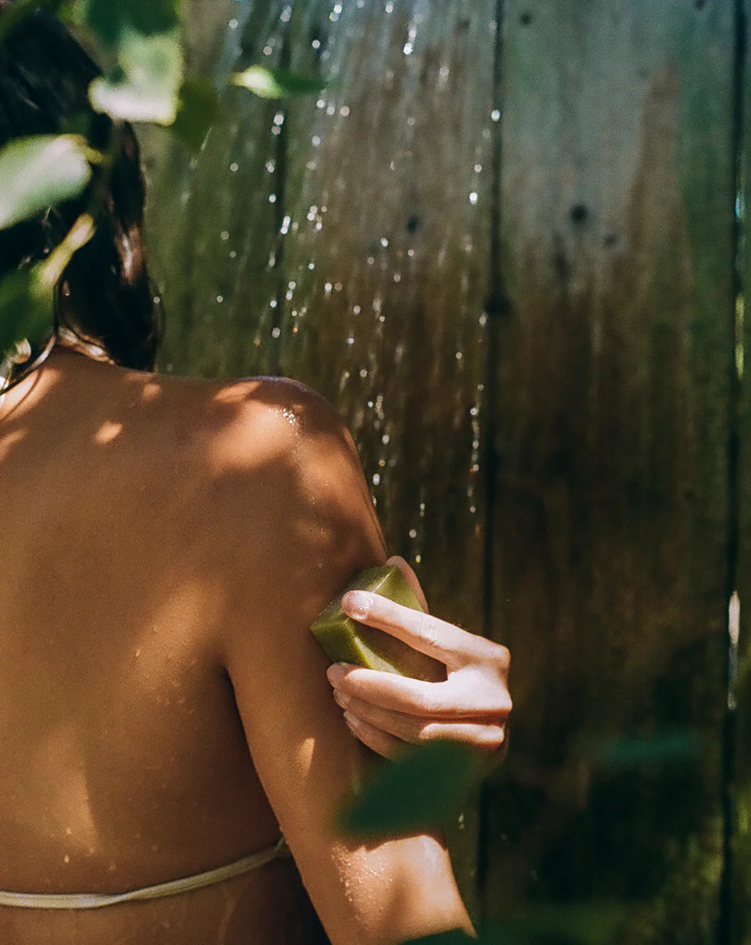 bathing culture / mind & body bar soap - cathedral grove