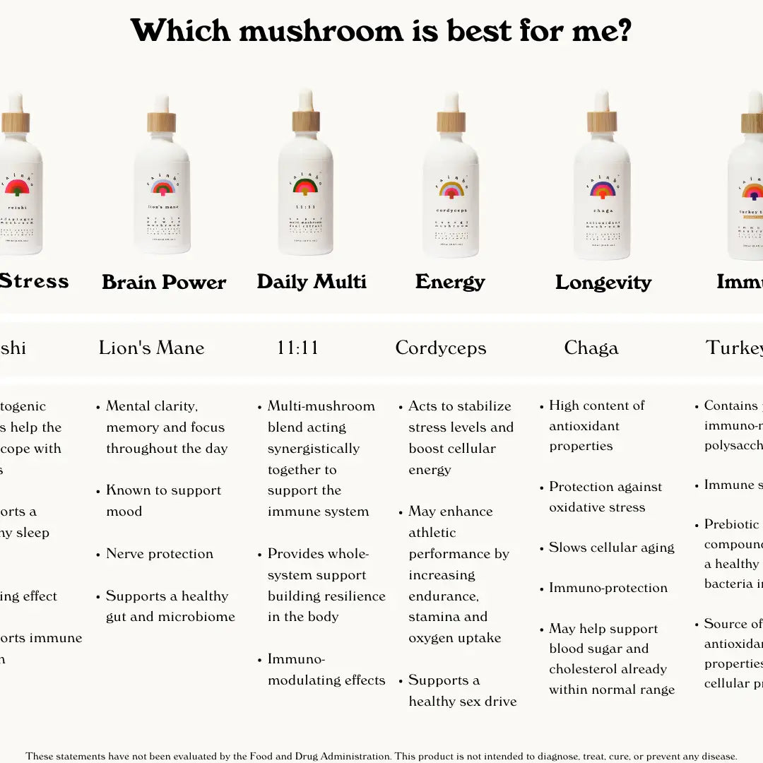rainbo / 11:11 super multi-mushroom tincture