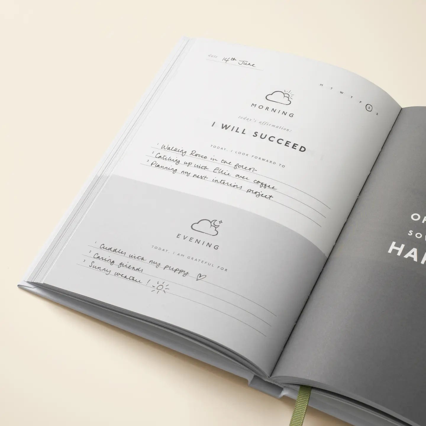 papier / guided gratitude journal - stay grounded
