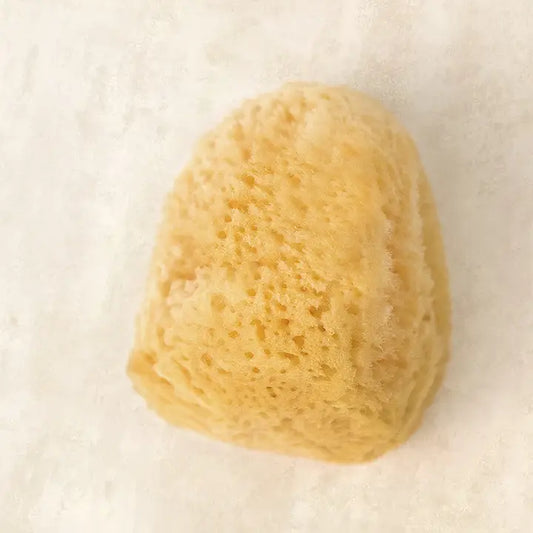 natural wool sea sponge - facial