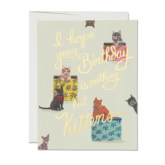 nothing but kittens birthday greeting card
