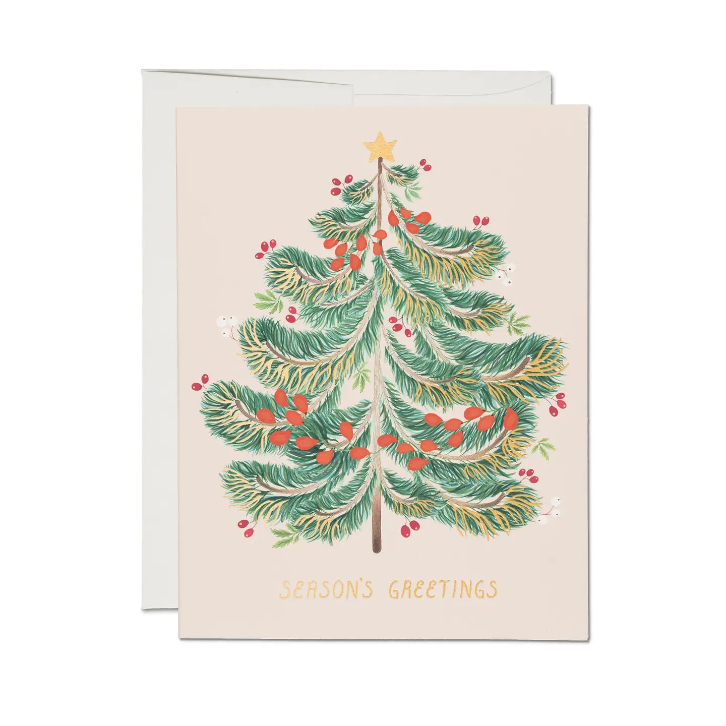 festive evergreen holiday greeting card