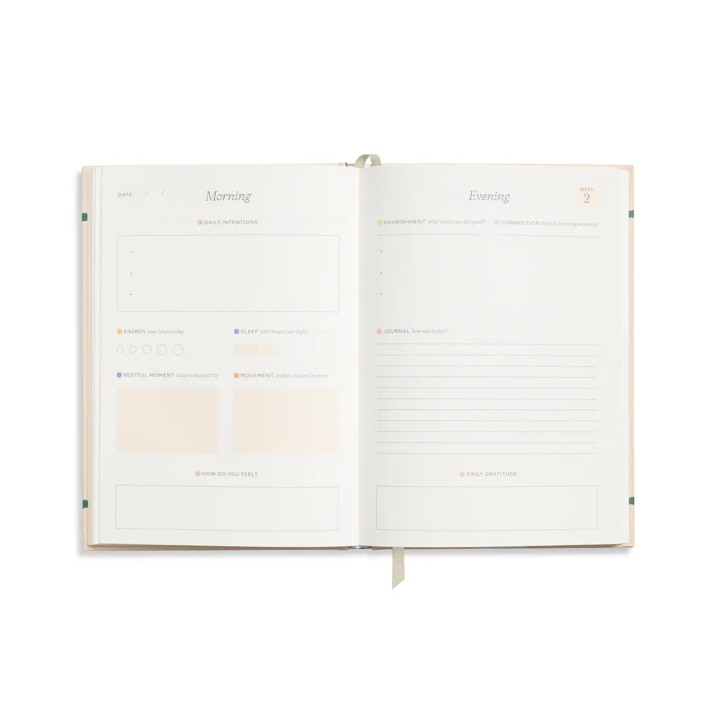 papier / guided wellness journal - tulip vase