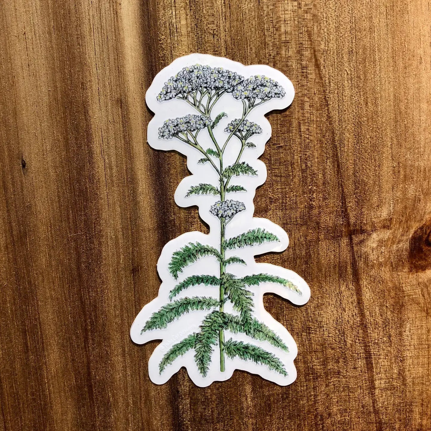 wildflower sticker