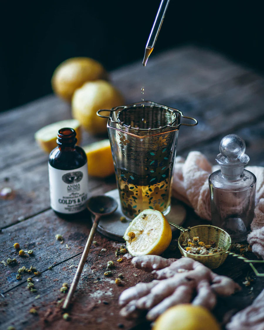 anima mundi / tonic - colds & flu