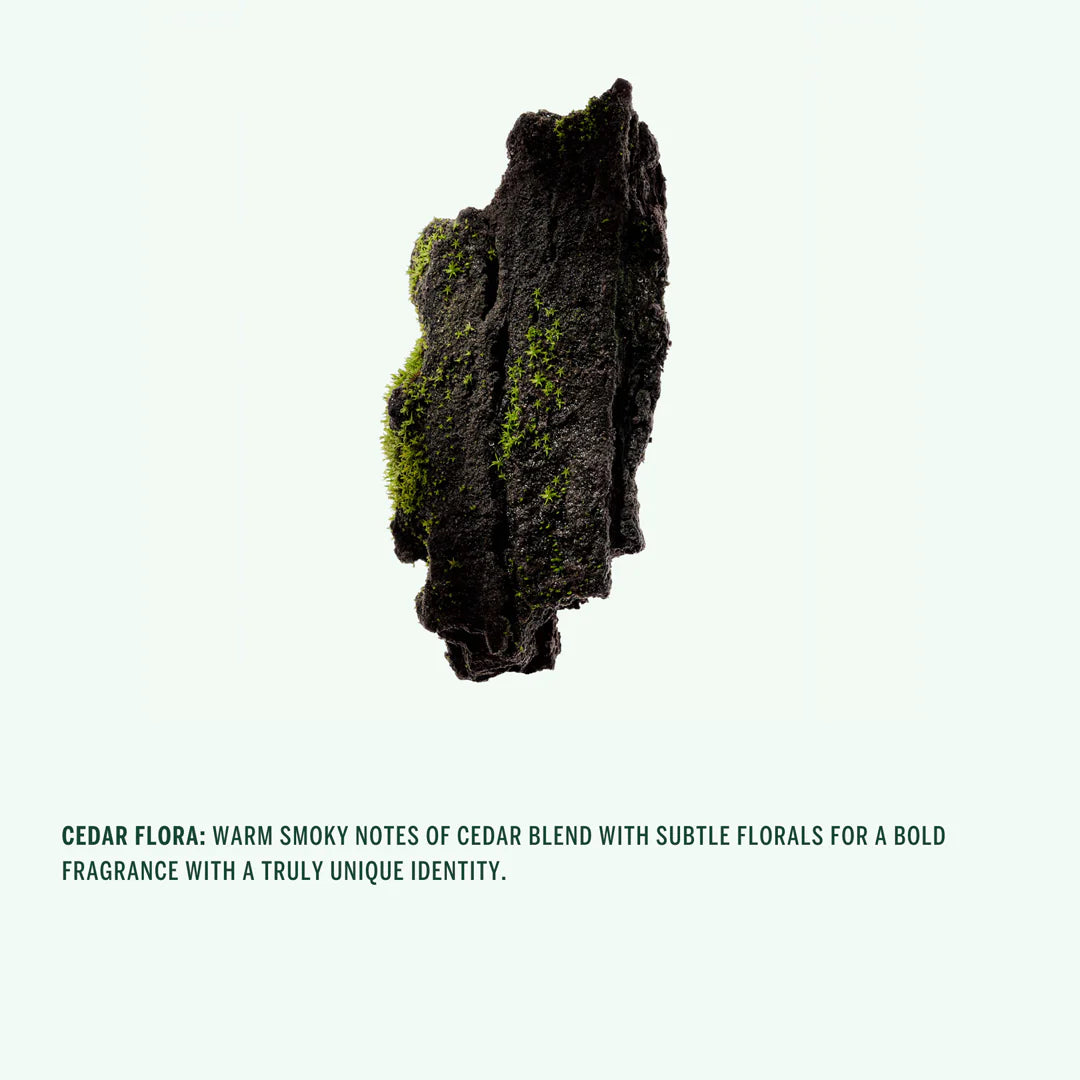 corpus / natural deodorant stick - cedar flora