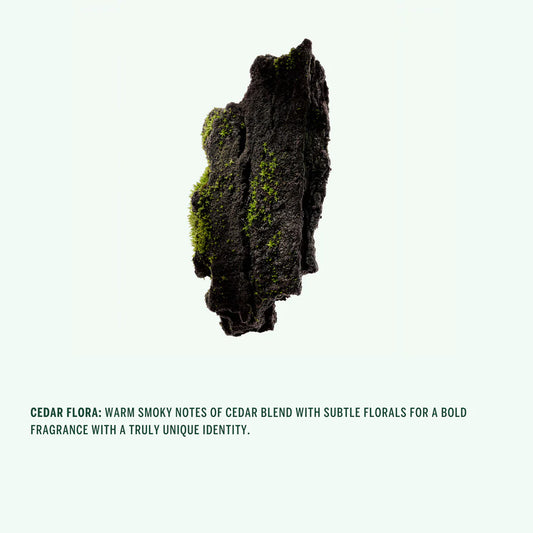 corpus / natural deodorant stick - cedar flora