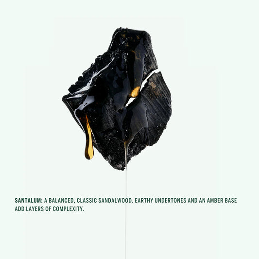 corpus / natural deodorant stick - santalum