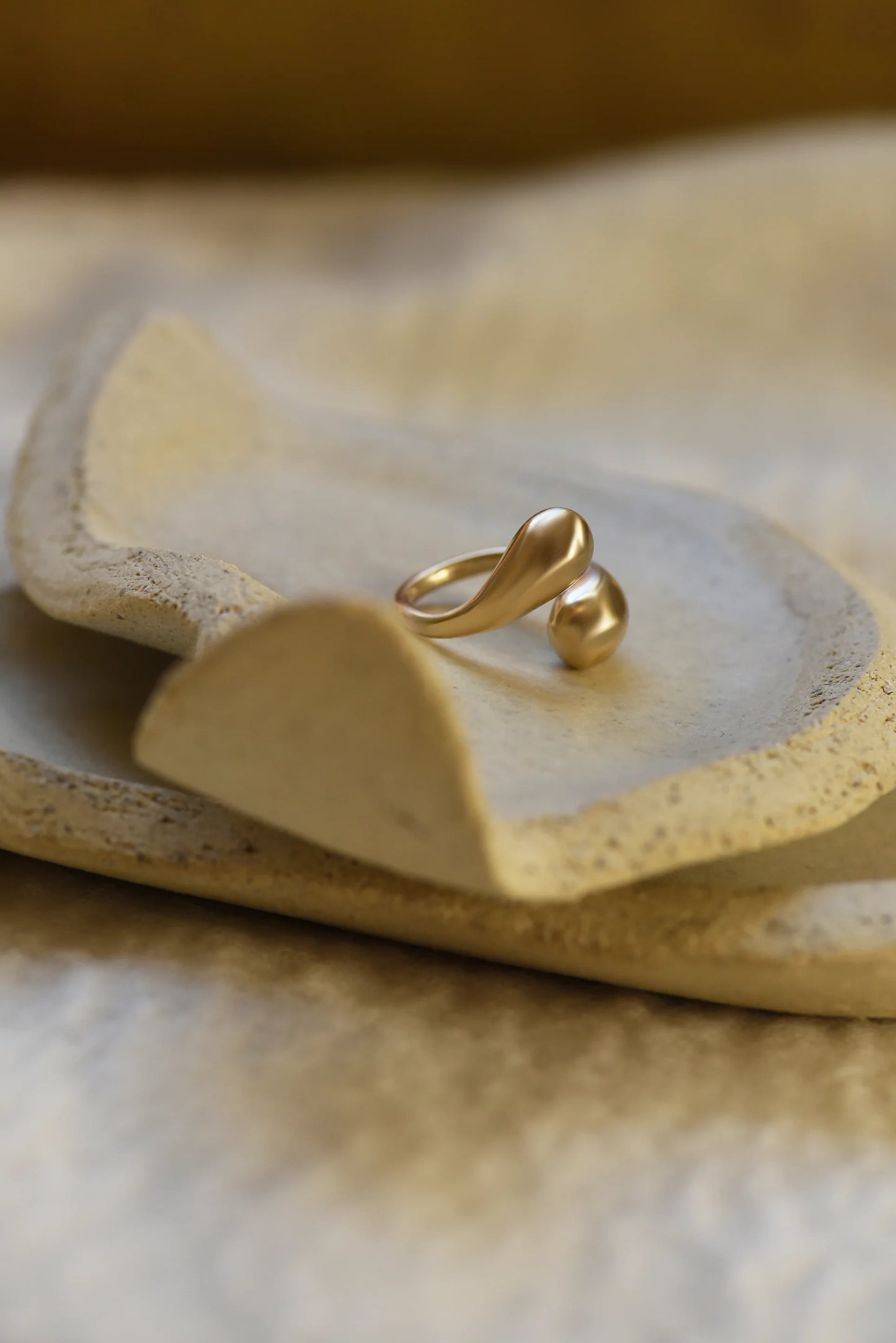 ring no.45