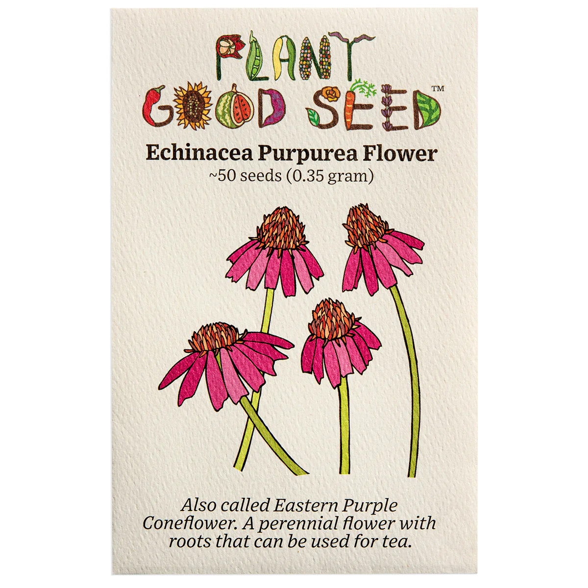 plant good seed / echinacea purpurea