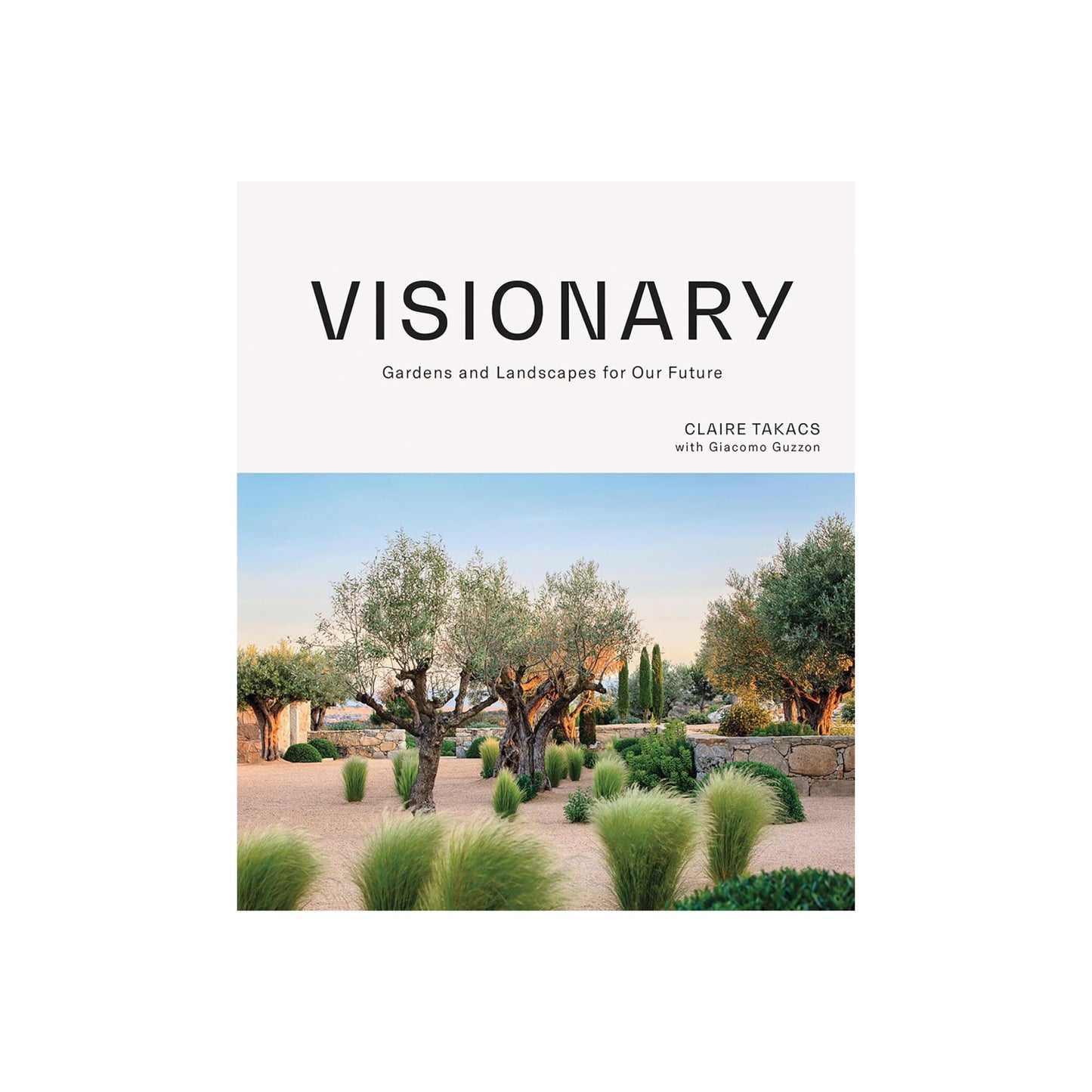 visionary