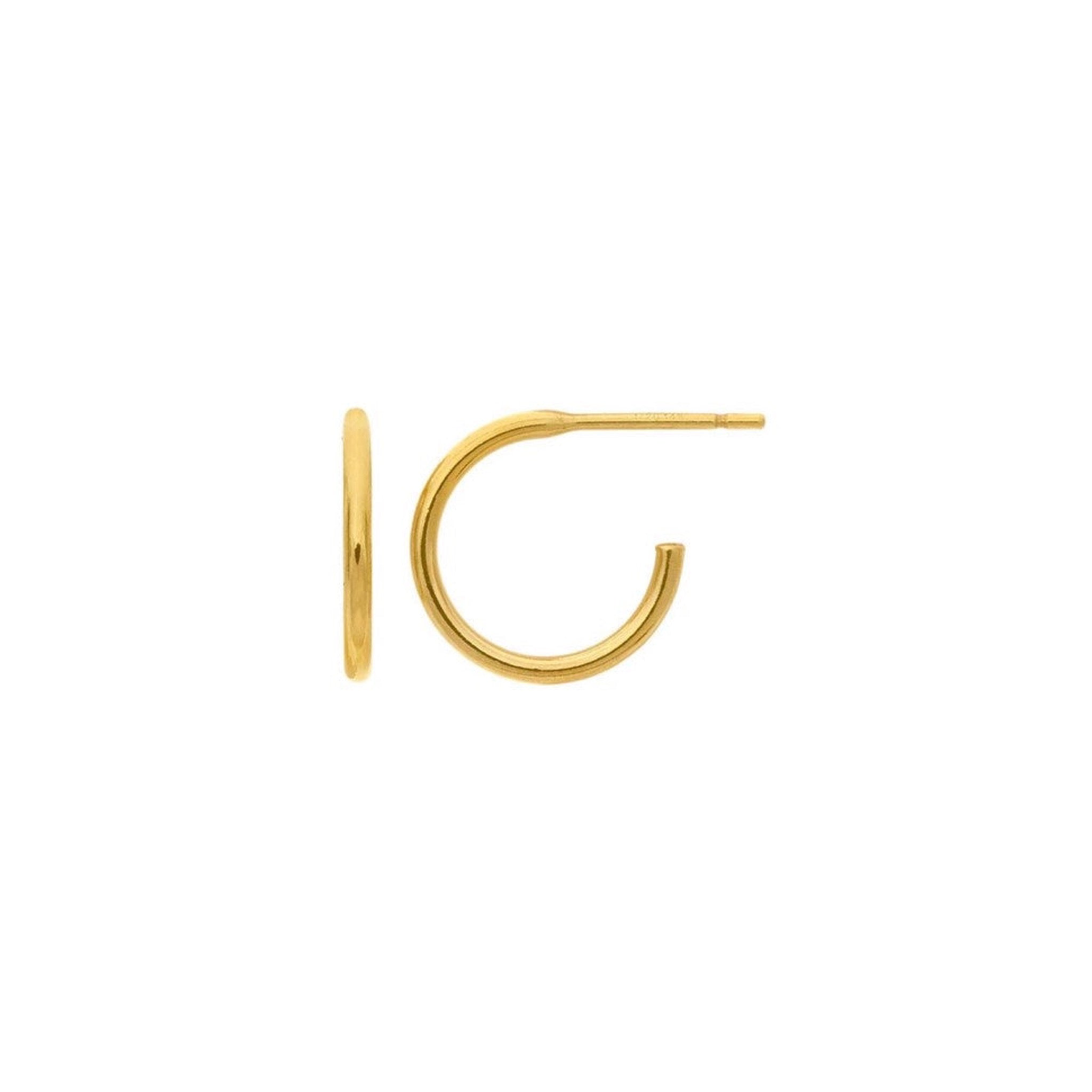 Natural Horn Crescent Hoop Earrings on Post CTE120