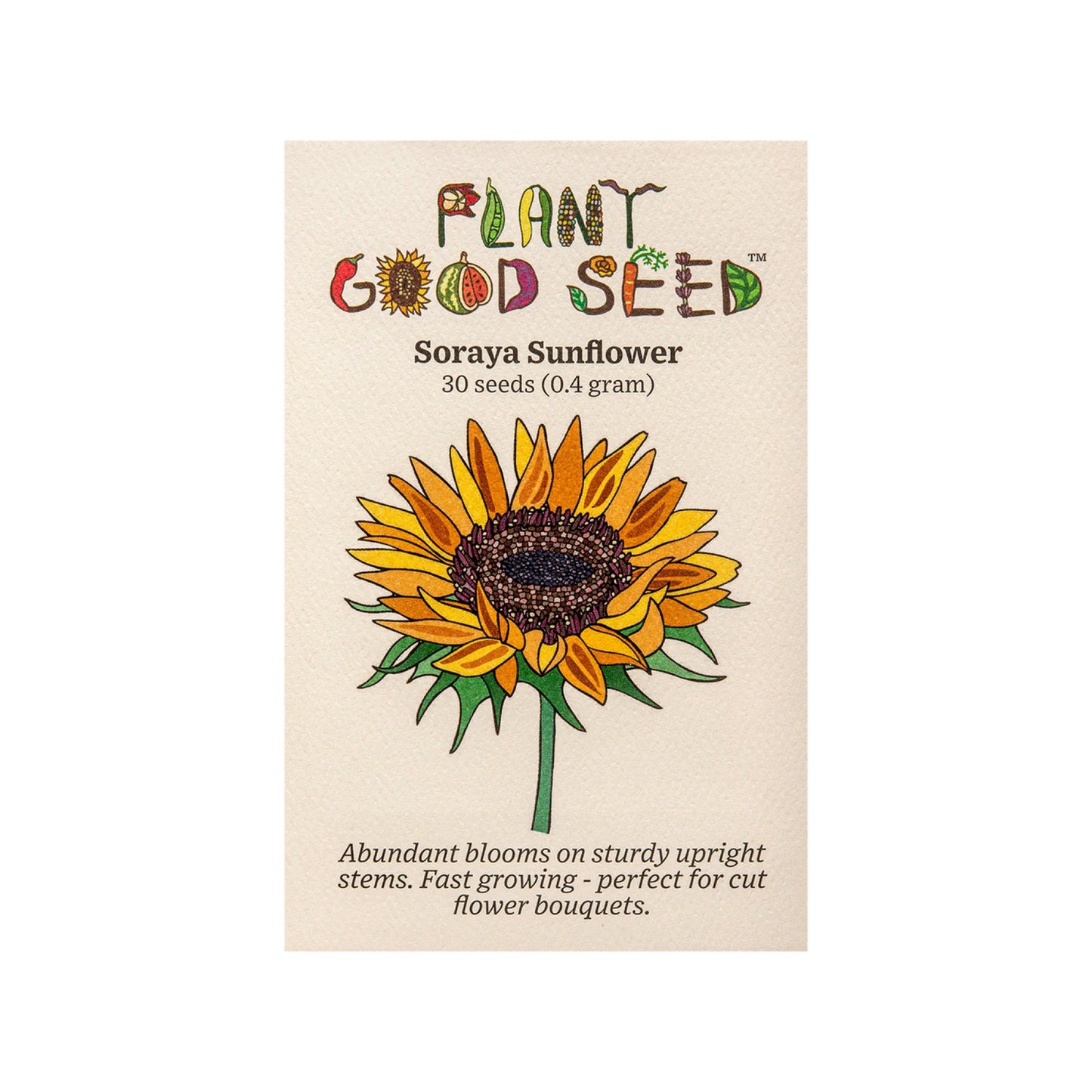 plant good seed / soroya sunflower