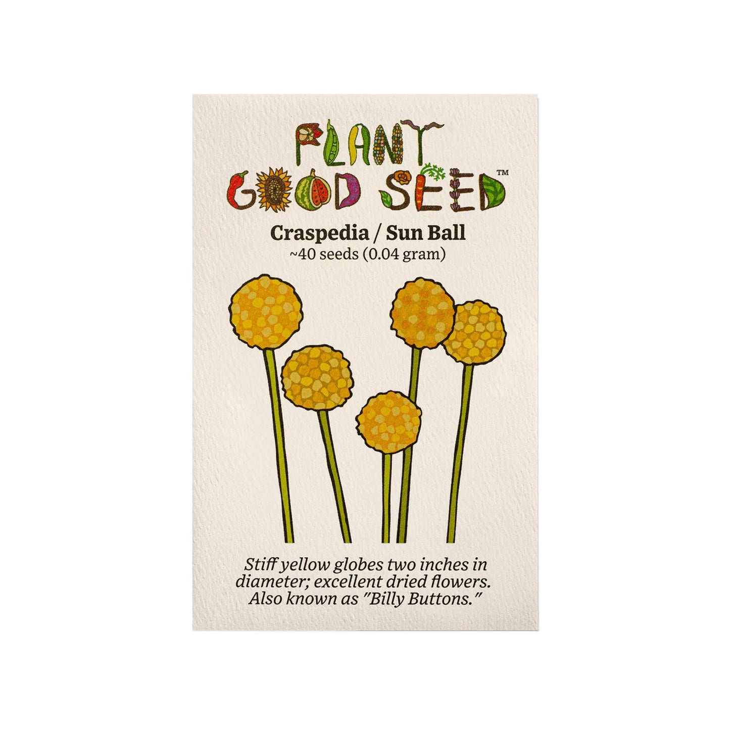 plant good seed / craspedia
