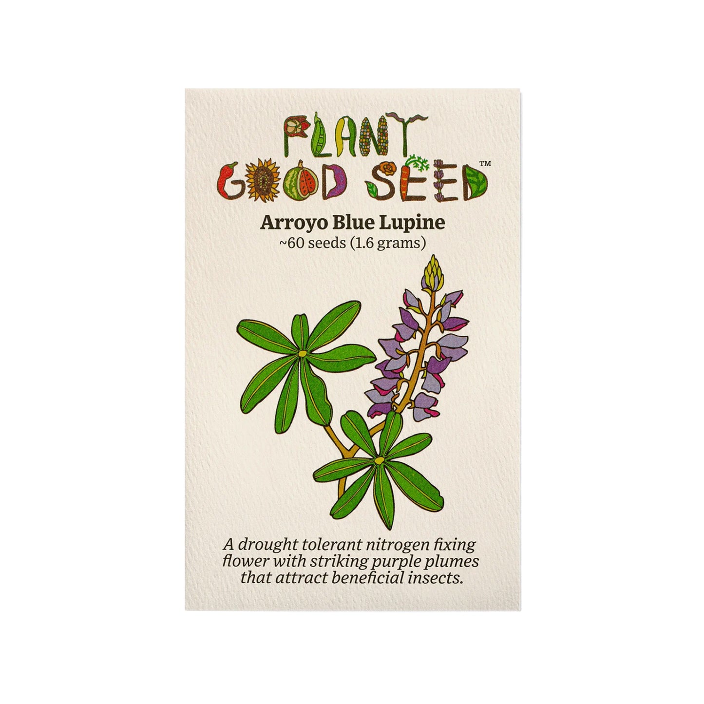 plant good seed / arroyo blue lupine