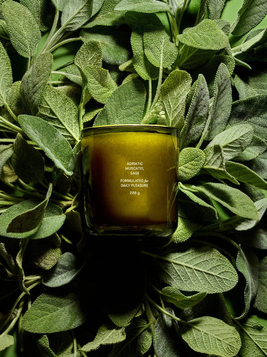 flamingo estate / adriatic muscatel sage candle