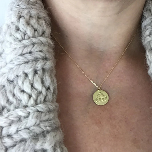 zodiac medal pendant necklace - aquarius