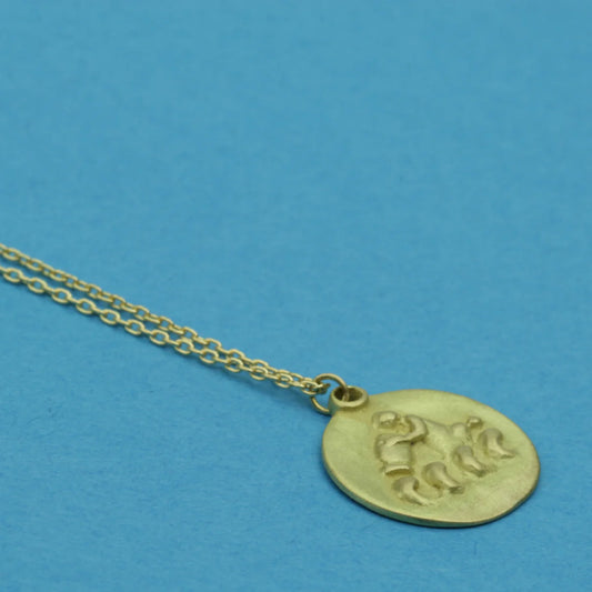 zodiac medal pendant - aquarius