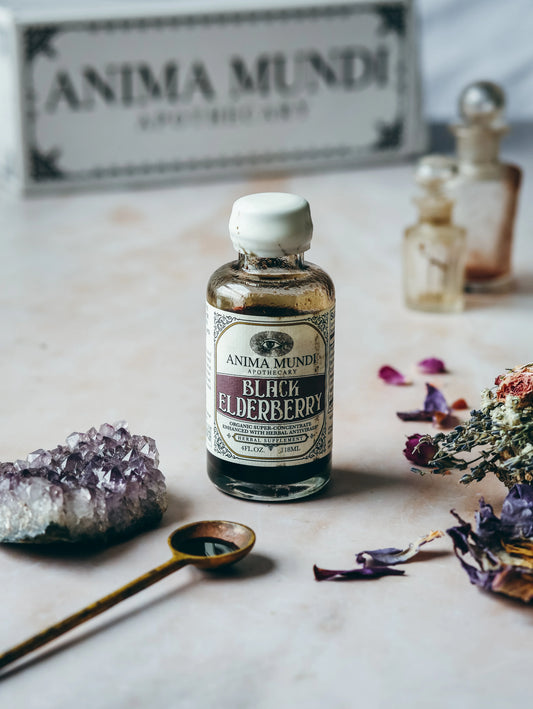 anima mundi / elixir - black elderberry syrup