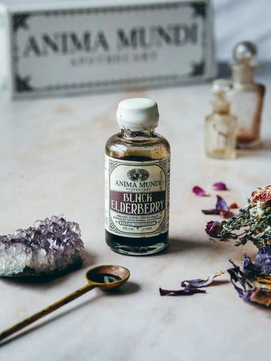 anima mundi / elixir - black elderberry syrup