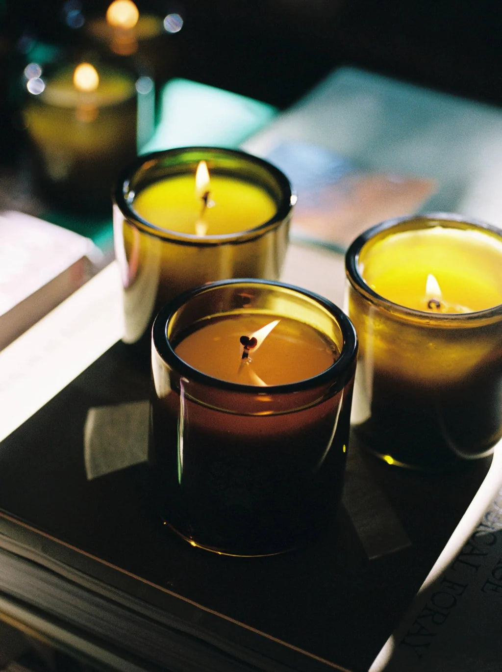 flamingo estate / adriatic muscatel sage candle