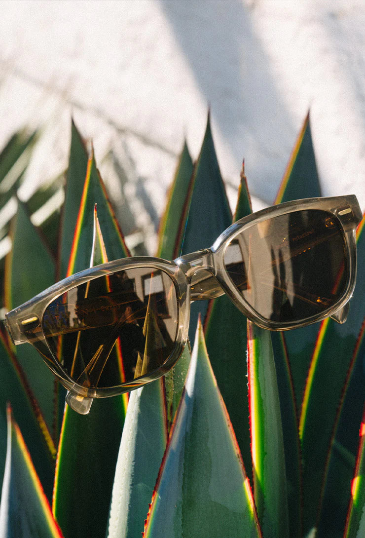 RAEN / carby sunglasses - ghost - polarized