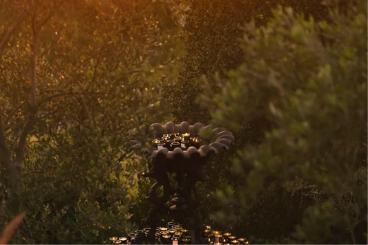 flamingo estate / candle - ancient agrigento olive tree