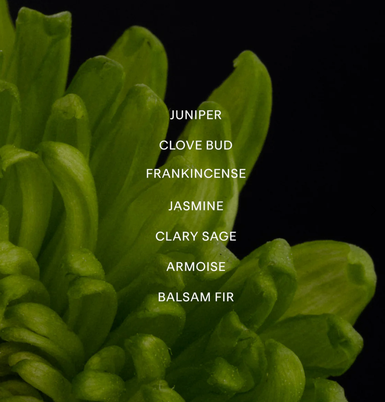 ayond / eau de parfum - metamorph