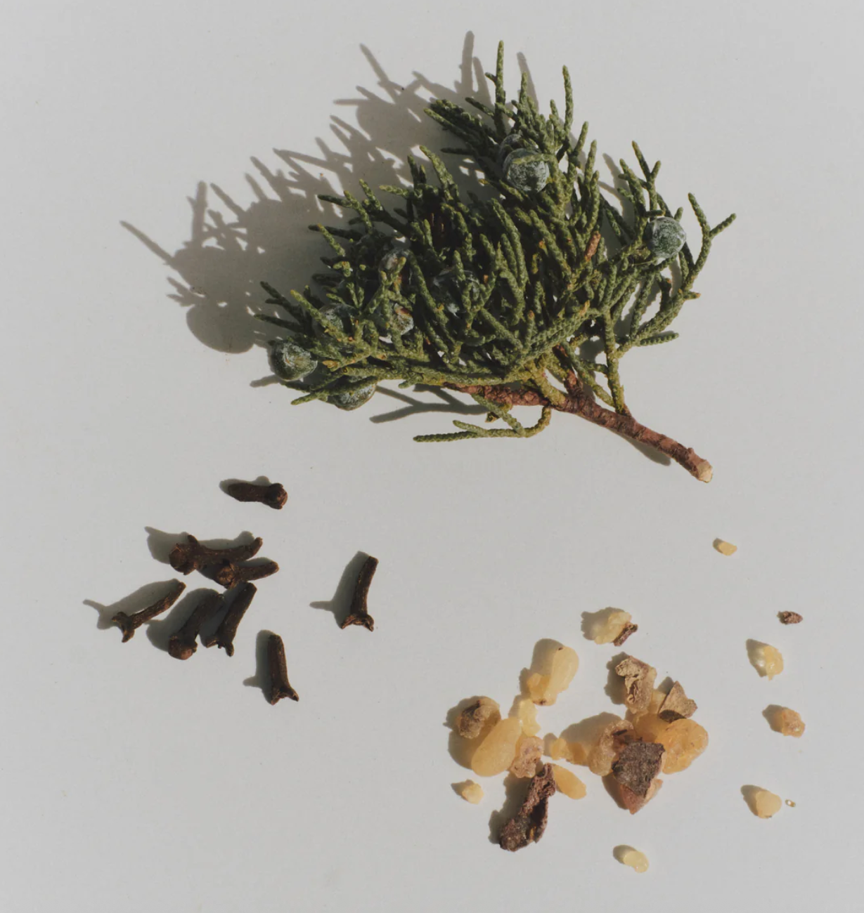 ayond / eau de parfum - metamorph