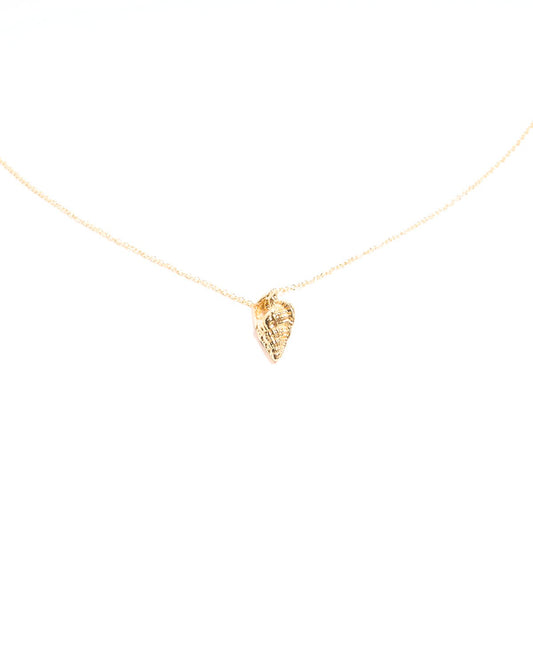 coquille necklace