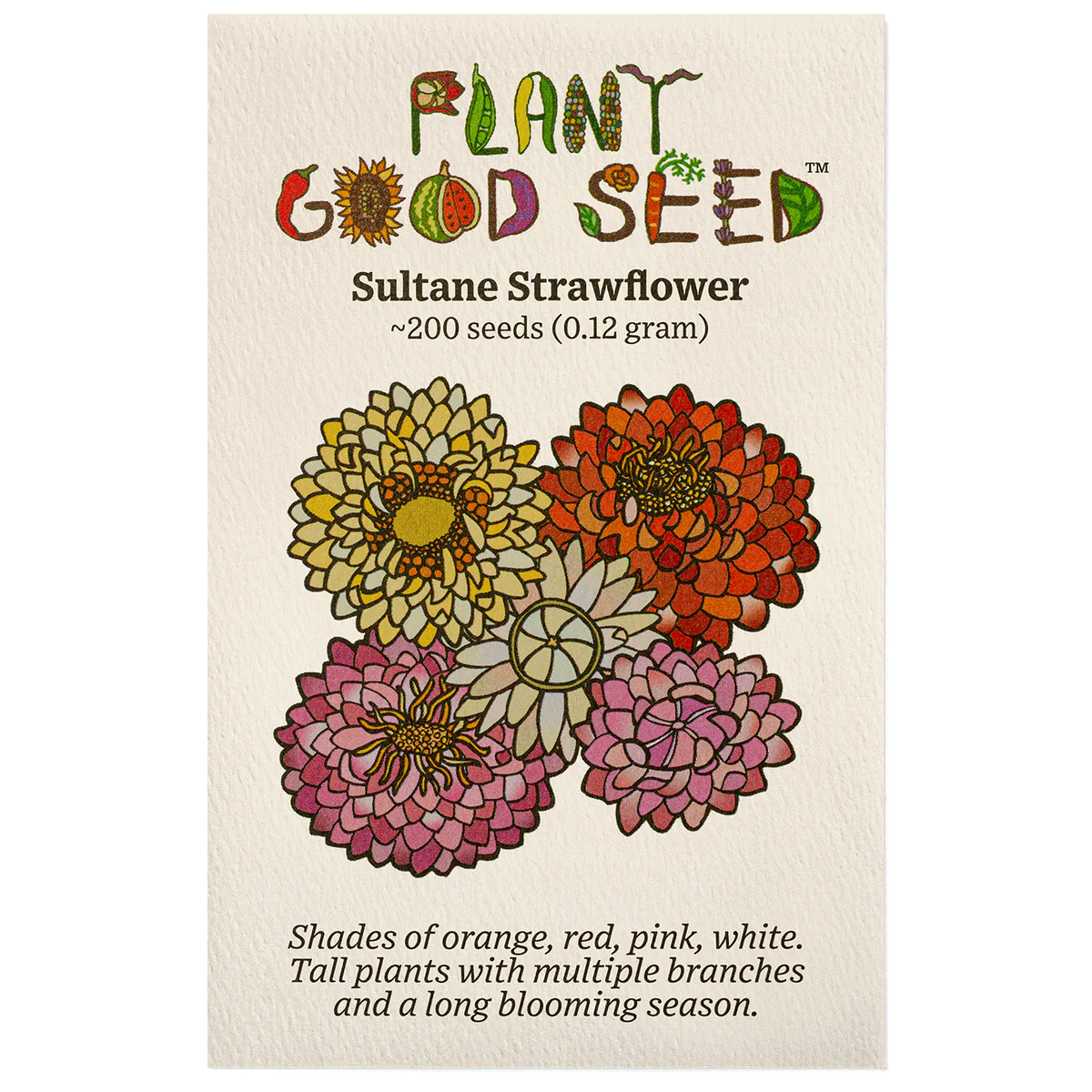plant good seed / sultane strawflower