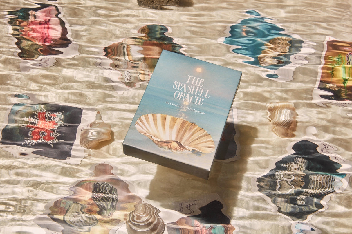 the seashell oracle deck & guidebook