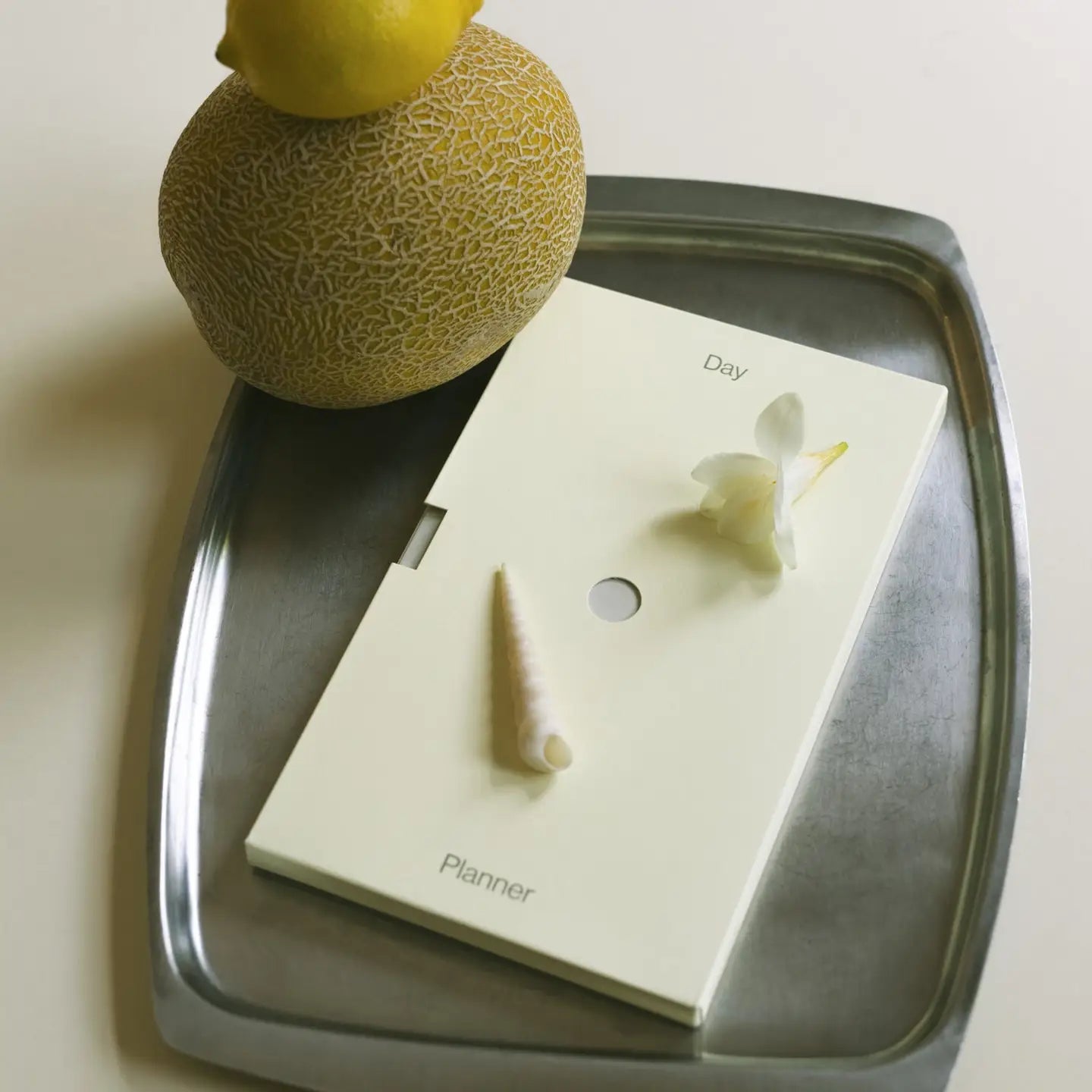 wilde house paper / day planner