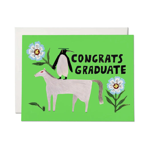 penguin pomp graduation card