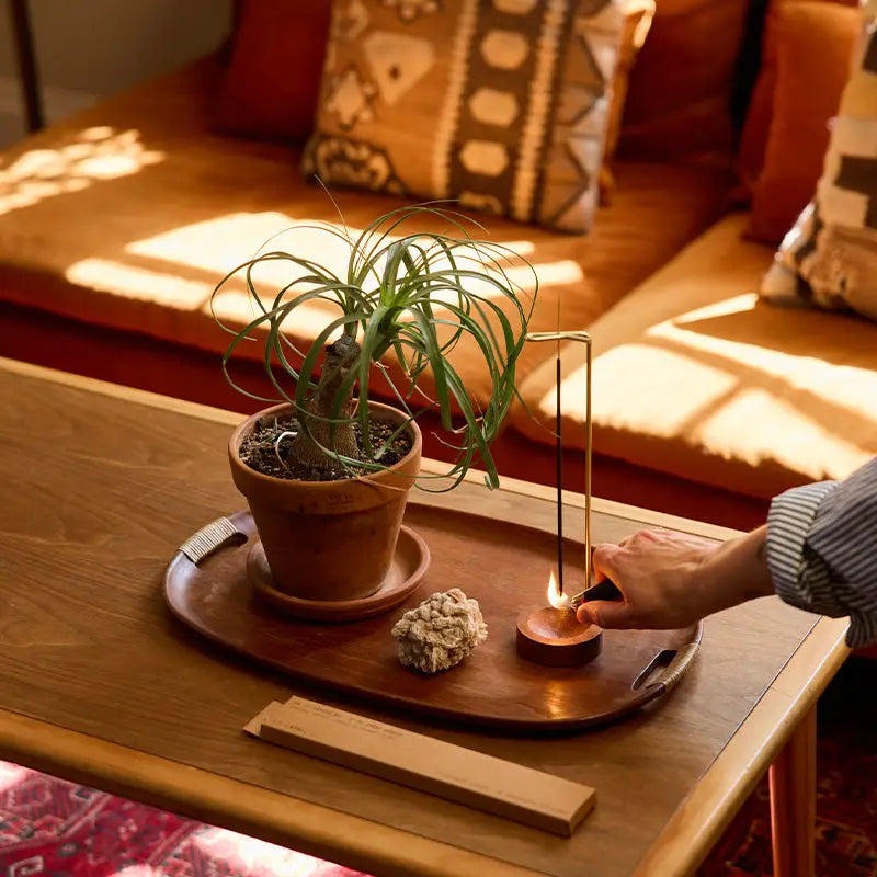 p.f. candle co. / incense - arroyo oak