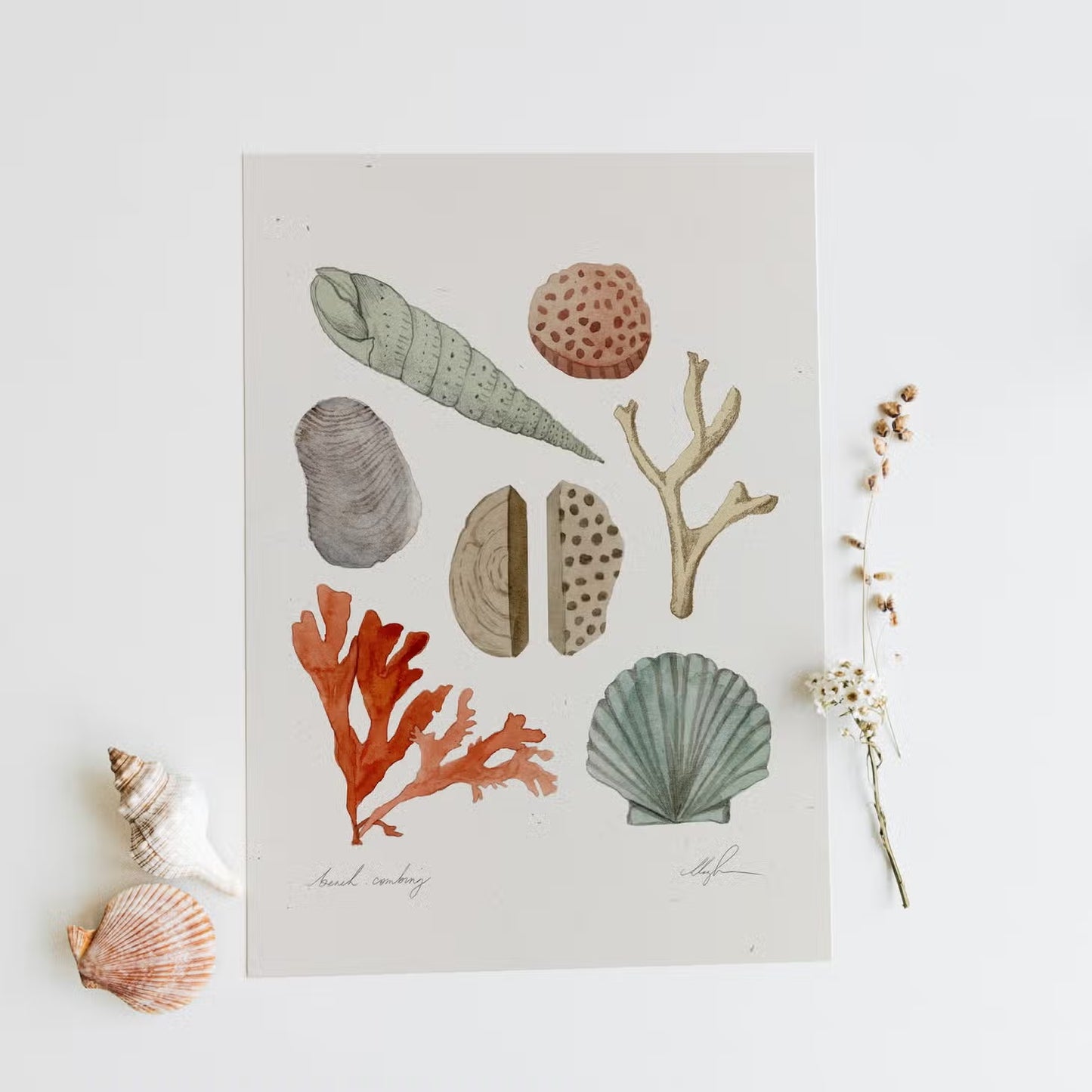 coco shalom / art prints - beach combing