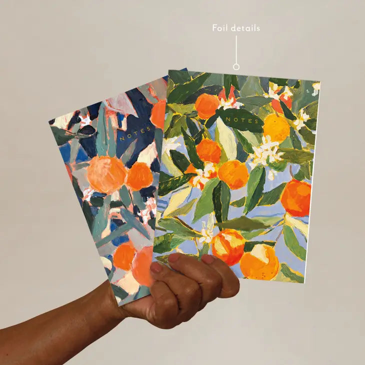 seedlings / notebook set - sunny oranges