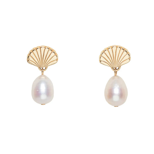 petite coquille earrings