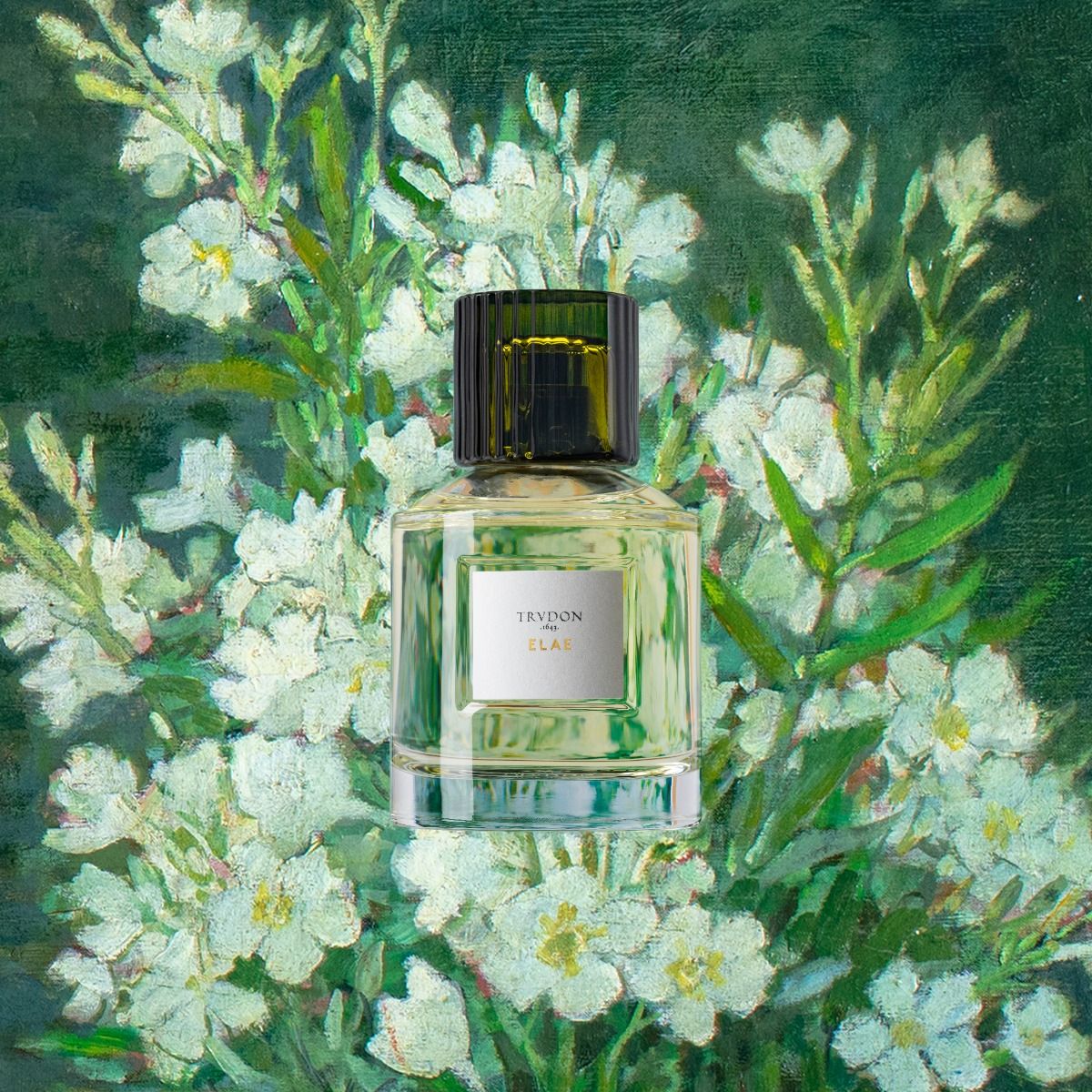 trudon / eau de parfum - elae