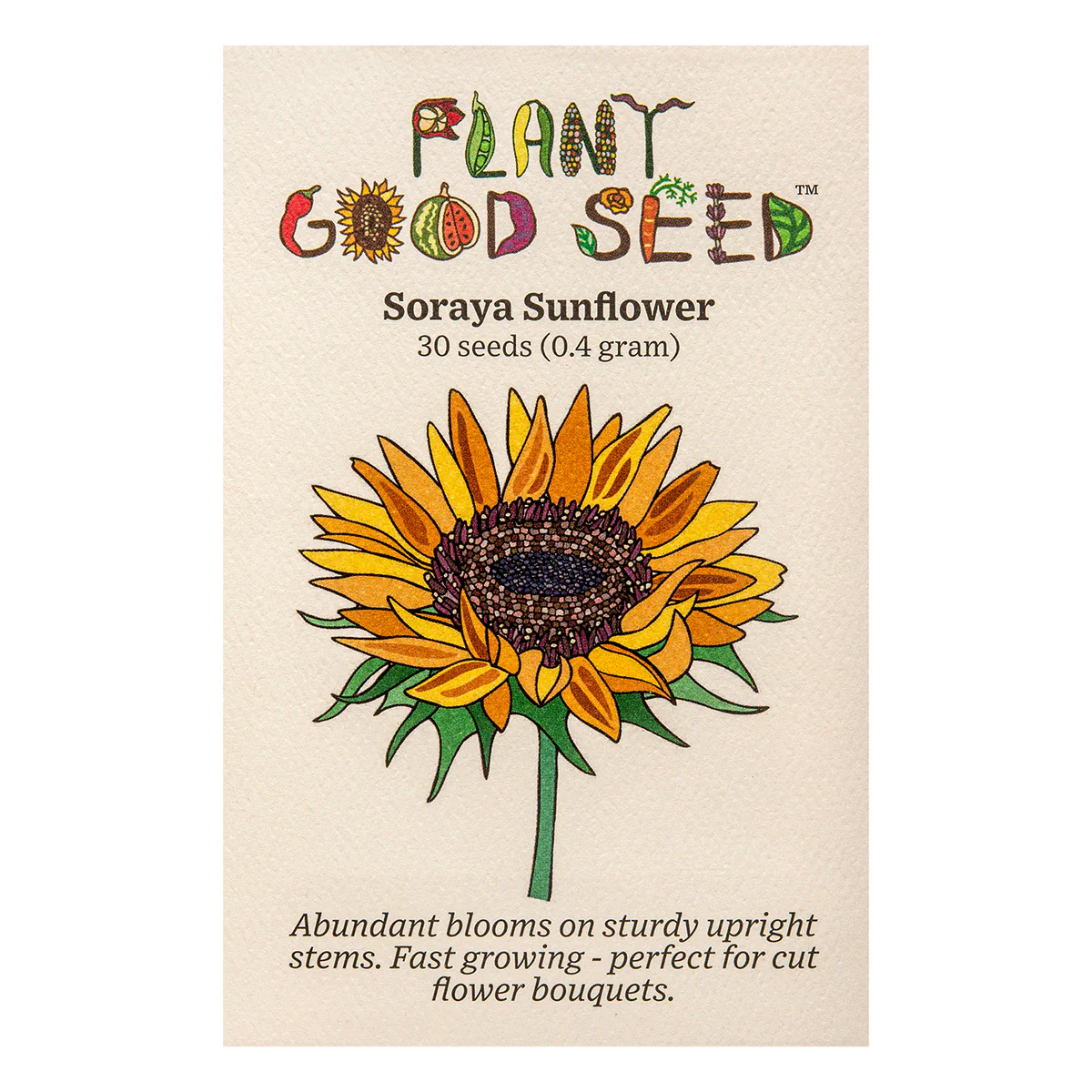 plant good seed / soroya sunflower