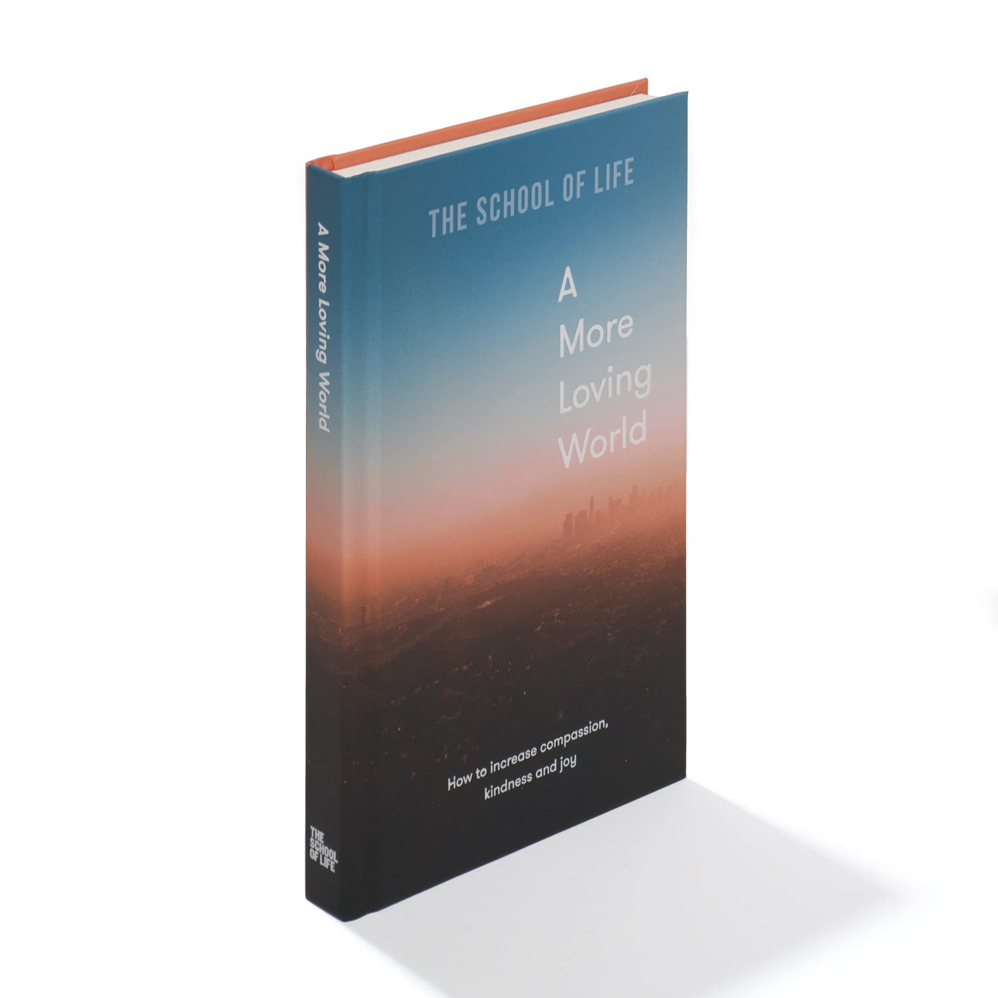 a more loving world: how to increase compassion, kindness and joy