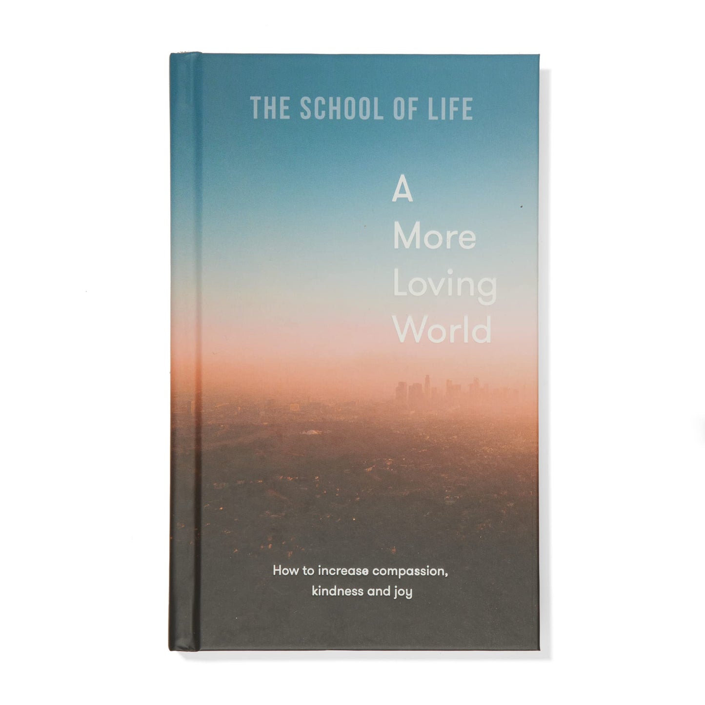 a more loving world: how to increase compassion, kindness and joy