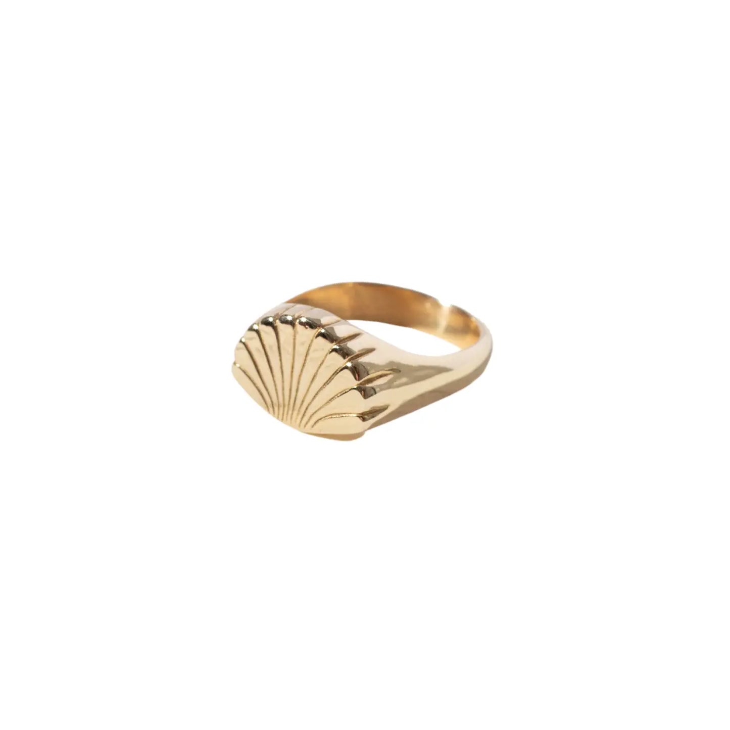 coquille ring