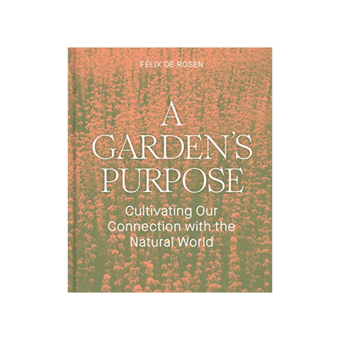 a garden's purpose: cultivating our connection with the natural world