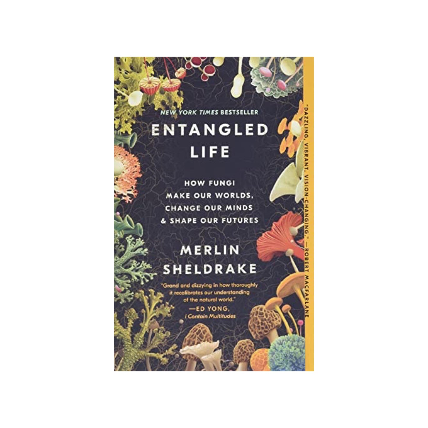 entangled life: how fungi make our worlds, change our minds & shape our futures
