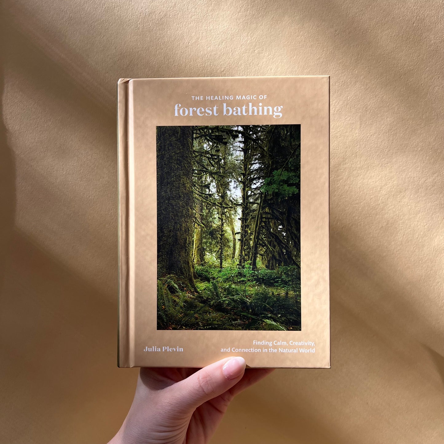 the healing magic of forest bathing: finding calm, creativity, and connection in the natural world