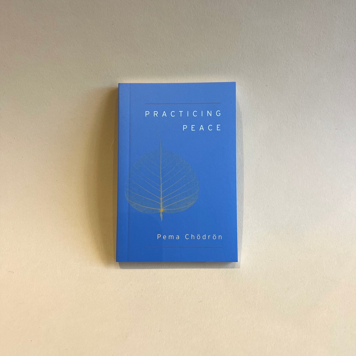 practicing peace